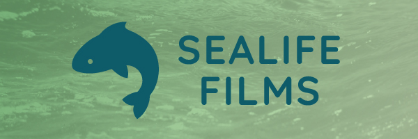 Sealife Films
